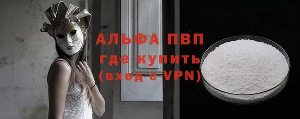 крисы Мегион