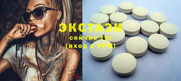 крисы Мегион