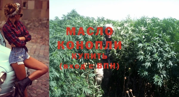 крисы Мегион