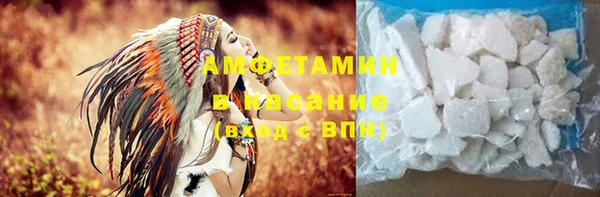 крисы Мегион