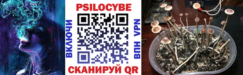 Псилоцибиновые грибы Psilocybe Феодосия